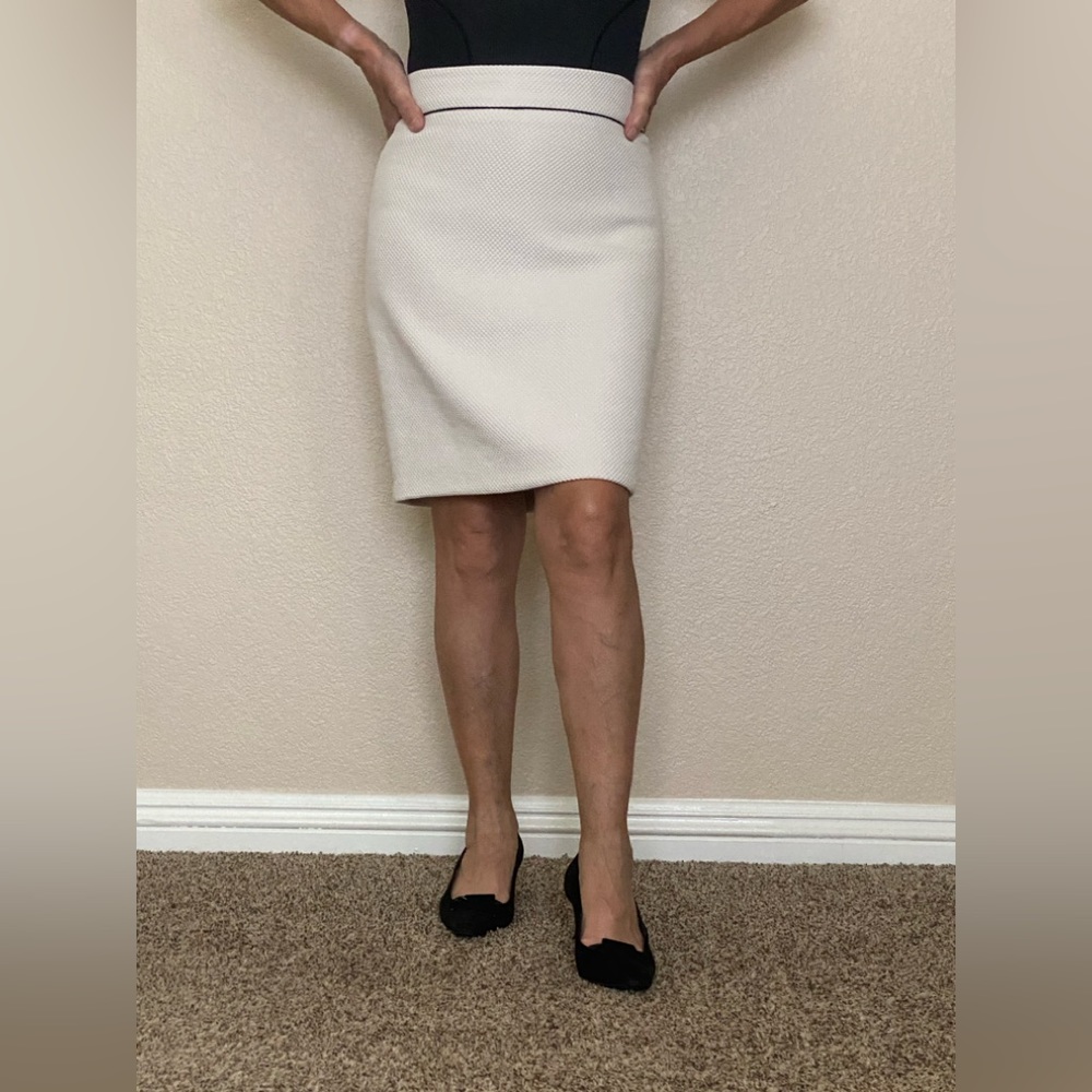 Ann Taylor dress skirt